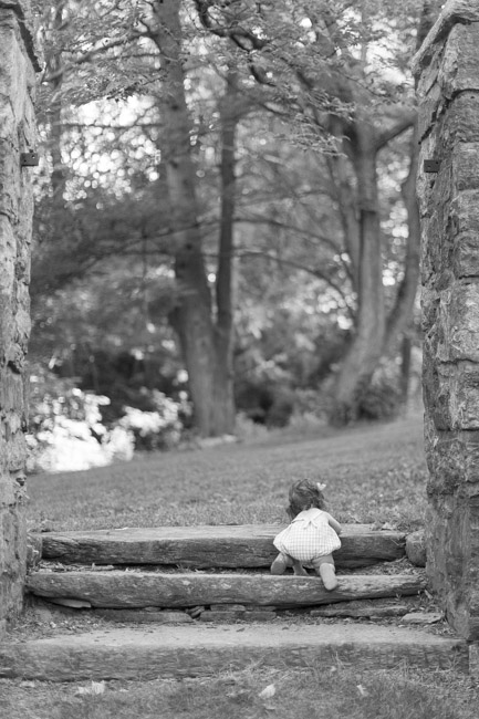 feather + light photography | natural light family photographer west chester, pa | family | family candids | mainline photographer 