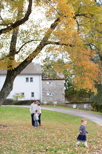 feather + light photography | family photographer | west chester, pa | lifestyle photography