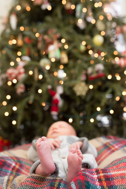 feather + light photography | newborn photographer | natural light photography 