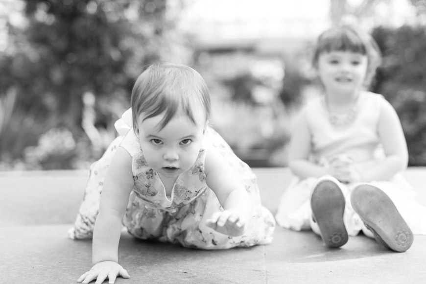 feather + light photography | family photographer | natural light photographer