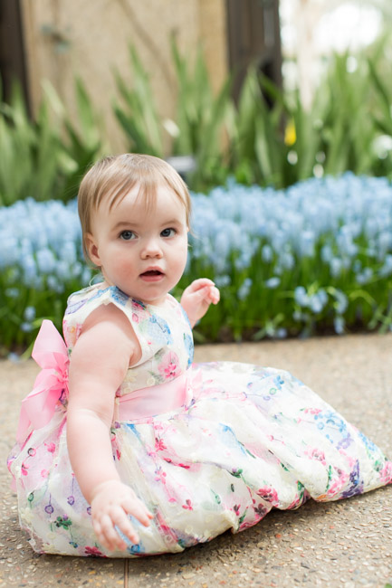 feather + light photography | family photographer | natural light photographer