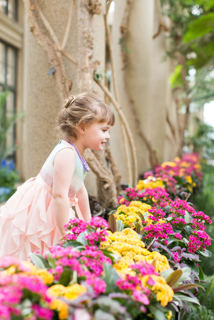 feather + light photography | family photographer | natural light photographer