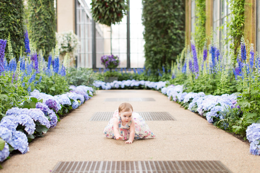 feather + light photography | family photographer | natural light photographer