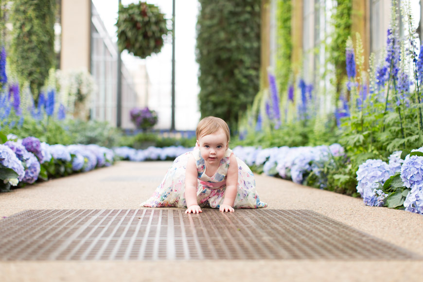 feather + light photography | family photographer | natural light photographer