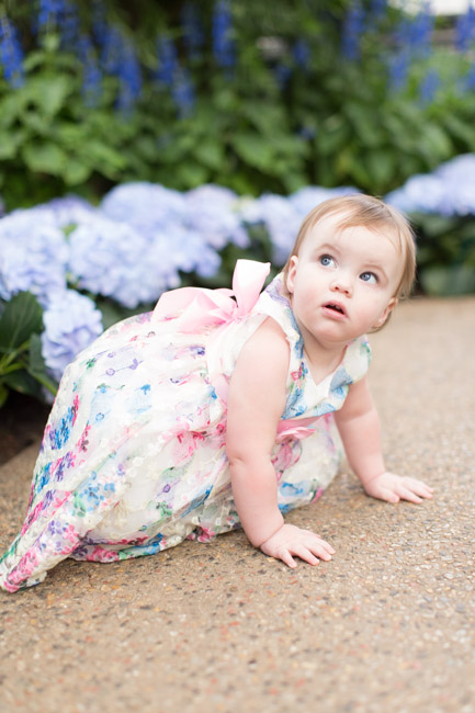 feather + light photography | family photographer | natural light photographer