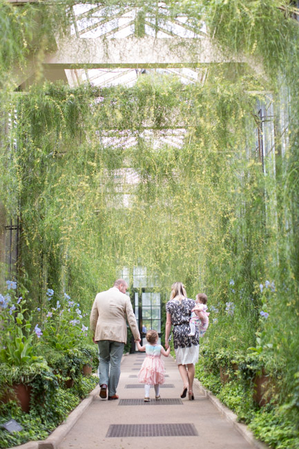 feather + light photography | family photographer | natural light photographer