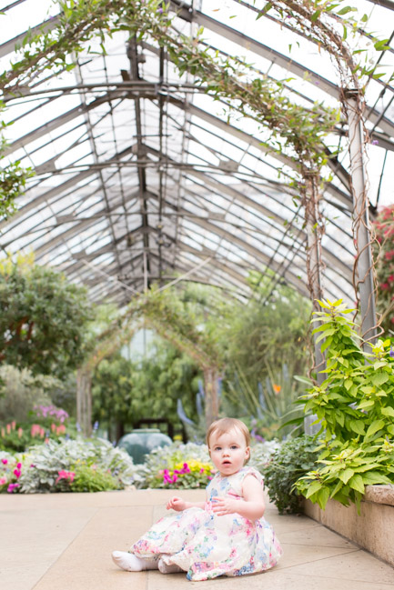 feather + light photography | family photographer | natural light photographer