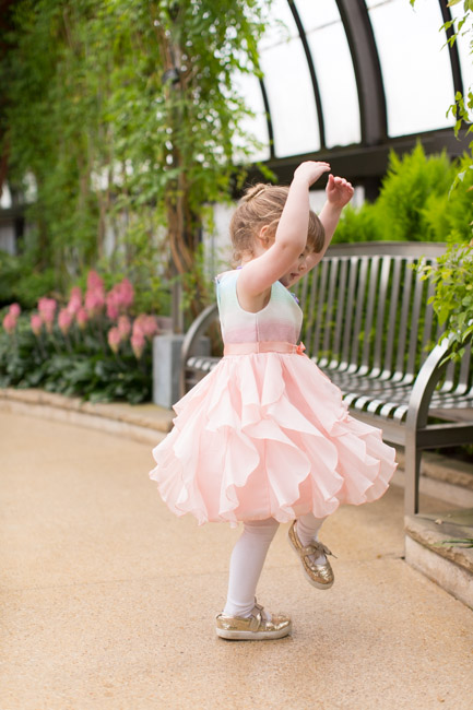 feather + light photography | family photographer | natural light photographer