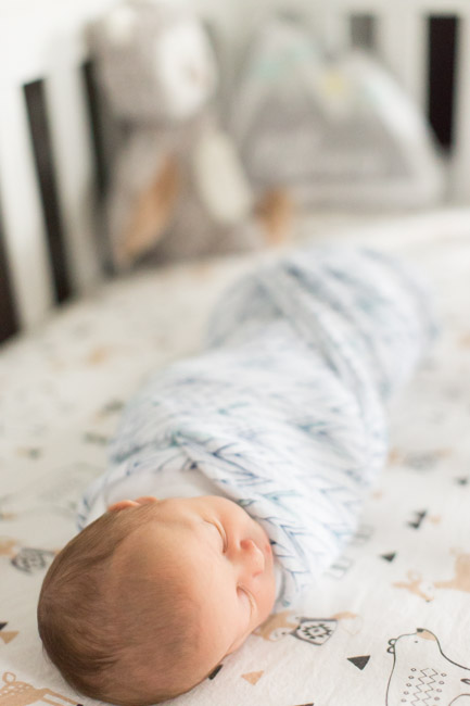 feather + light photography |  newborn photography | natural light photography  | lifestyle photography