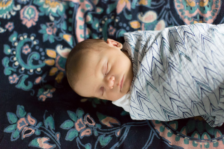 feather + light photography |  newborn photography | natural light photography  | lifestyle photography