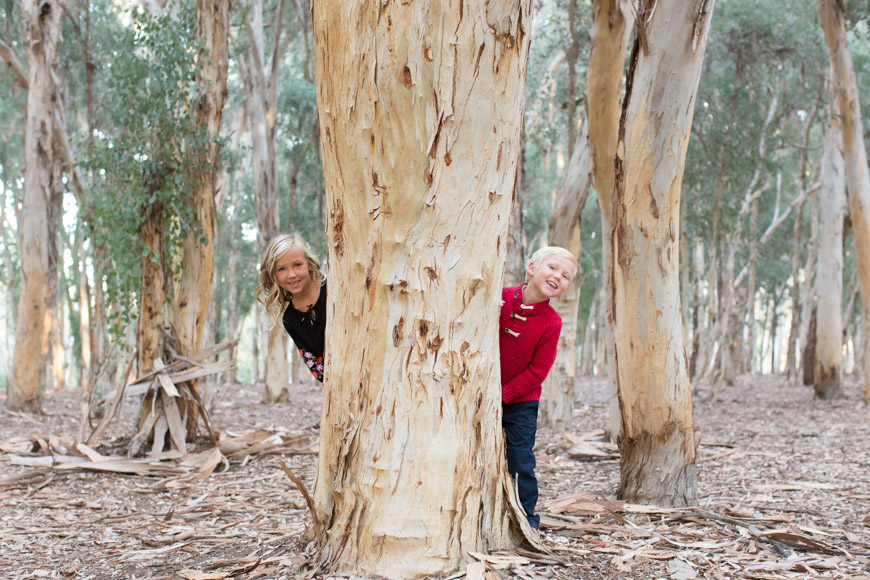 feather + light photography | orange county family photographer | laguna beach family photographer 