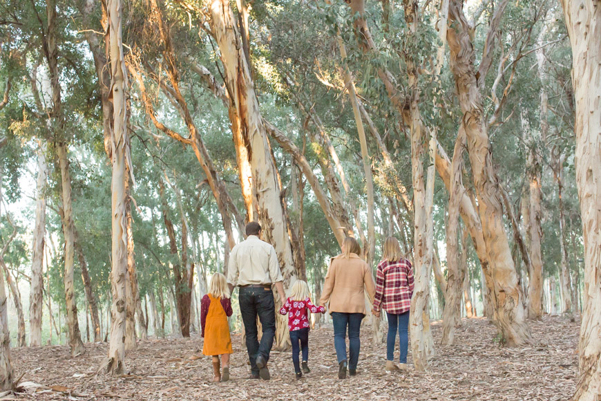 feather + light photography | orange county family photographer | laguna beach family photographer